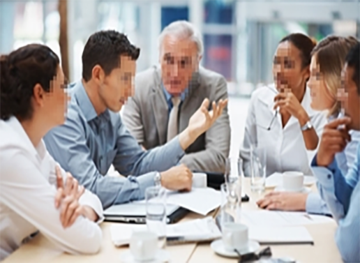 公司发展分析-领域战略