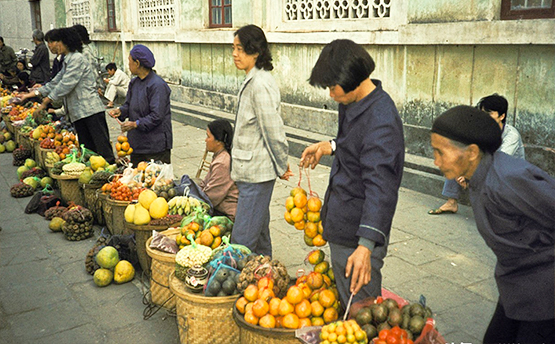市场调研与分析